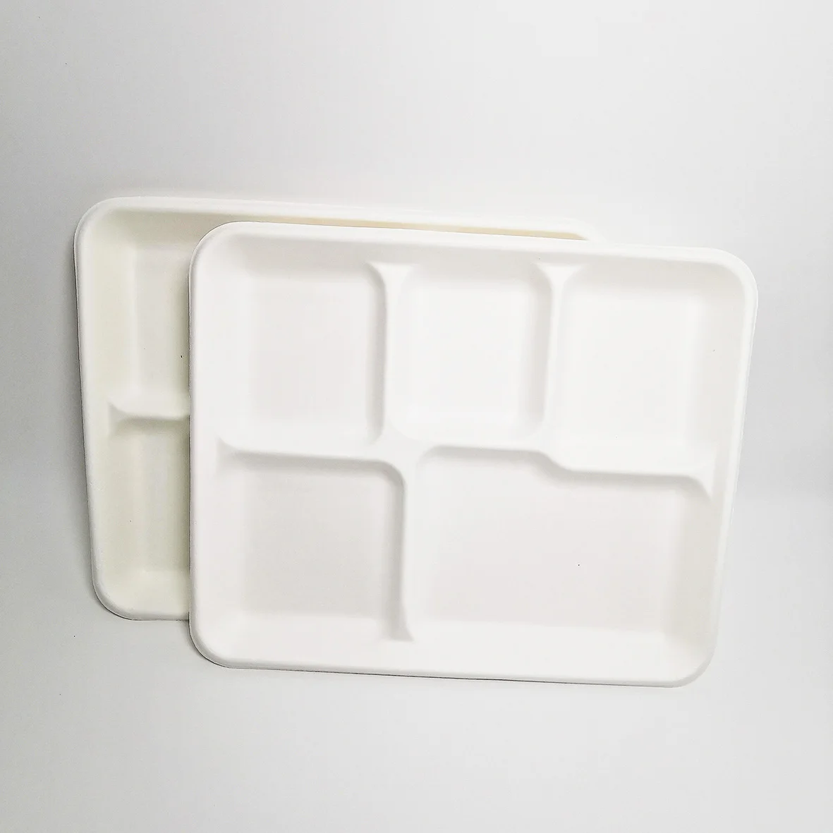 10.5*8.5 Inch Biodegradable bagasse tray container disposable tableware