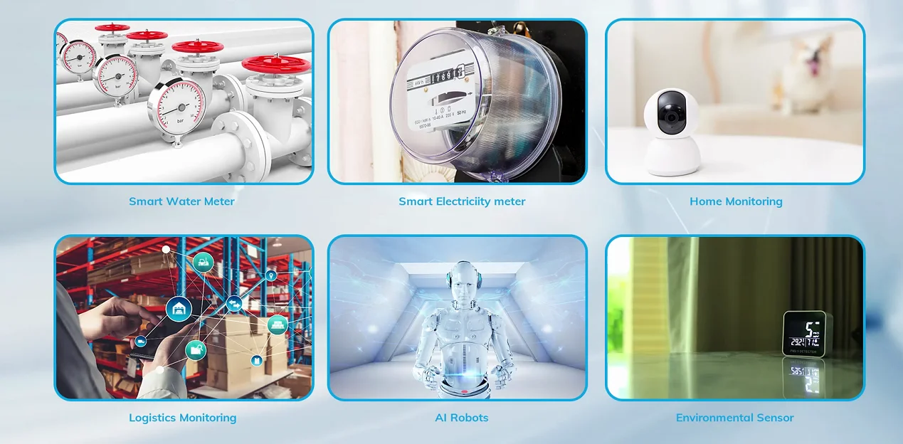 ms44sf11 application