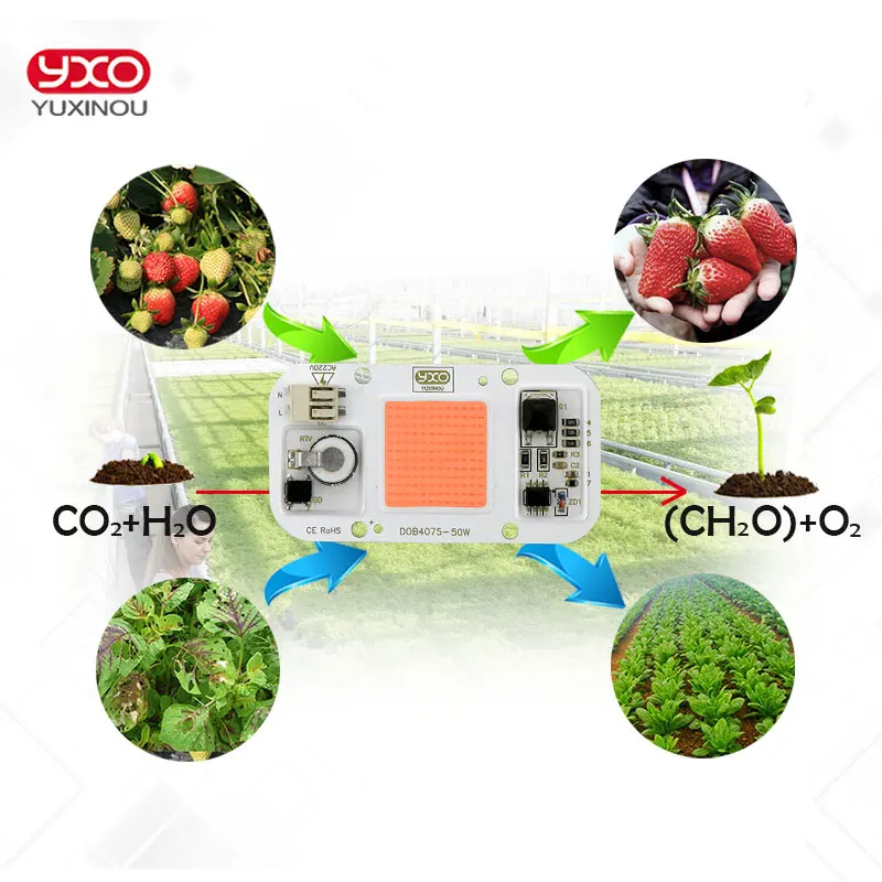 Full Spectrum Led Chip Light 20W 30W 50W Led Full Spectrum Diode Chip For Plant Growing Light
