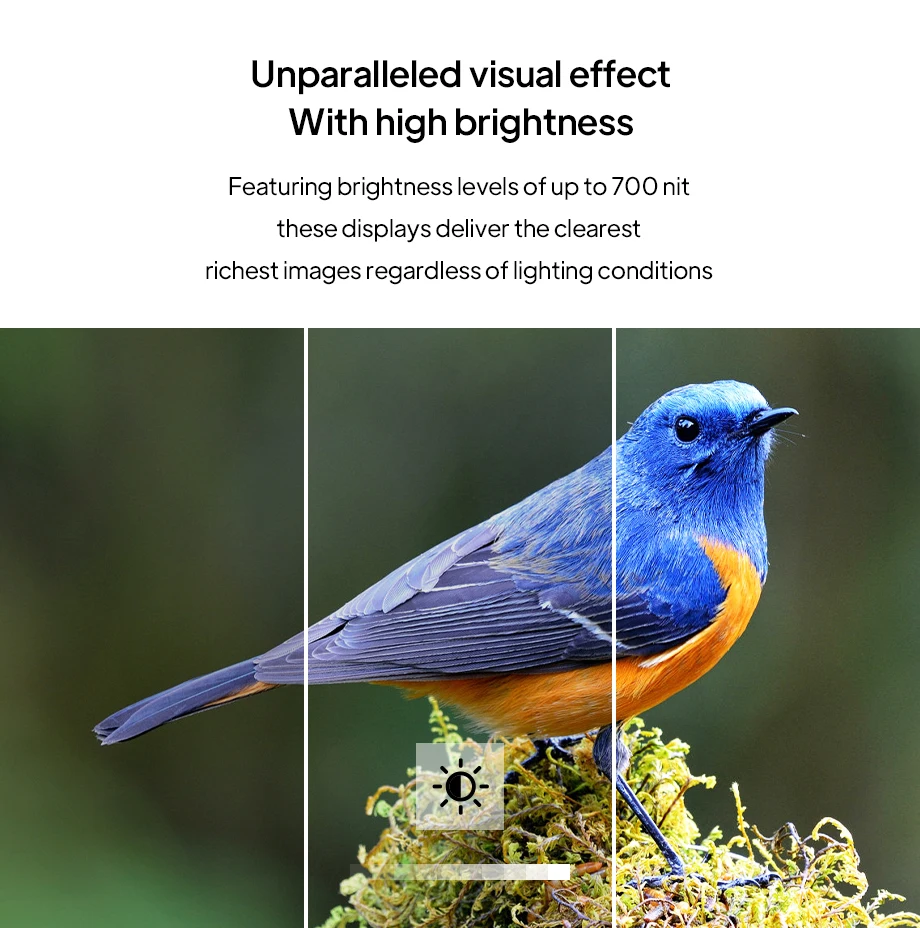 Indoor 29 Inch High Brightness Wide Ultra Advertising Stretched Bar Screen Display With Android System