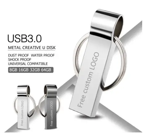 Металлический USB флеш-накопитель, портативный USB-накопитель, 2,0 дюйма, 3,0 дюйма, 1 ГБ, 2 ГБ, 4 ГБ, 8 ГБ, 16 ГБ, 32 ГБ, 64 ГБ, брелок для ключей, флешка