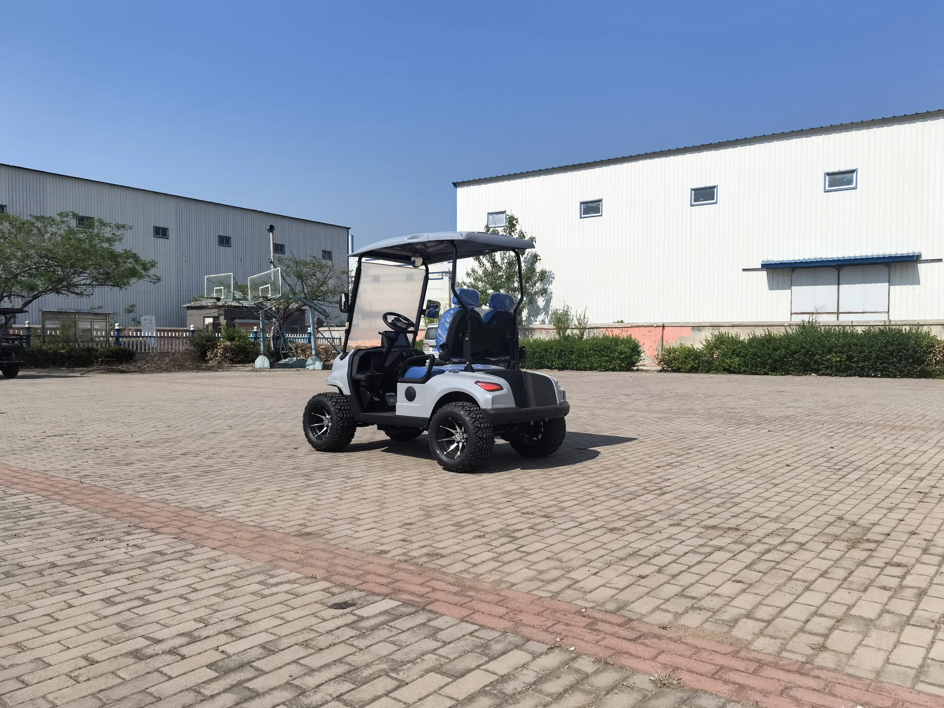 electric golf car customization lifted 2 seater electric golf car price of golf car for sale Garden Villa Hunting