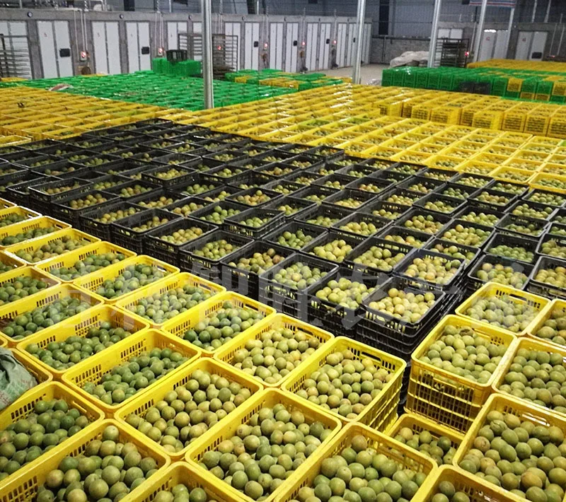 Premium Quality Organic 100% Dried Momordica Grosvenori Herbal Tea Sweet Mangosteen Fruit Tea Luo Han Guo OEM Customized Packing