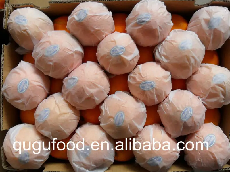 
new season good taste fresh Navel Orange, fresh orange, China orange, 