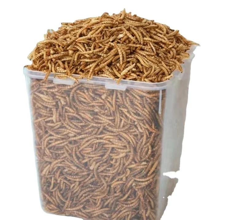 Factory feed additives Pet Food Bird Food Edible Tenebrio Molitor Dried Mealworm