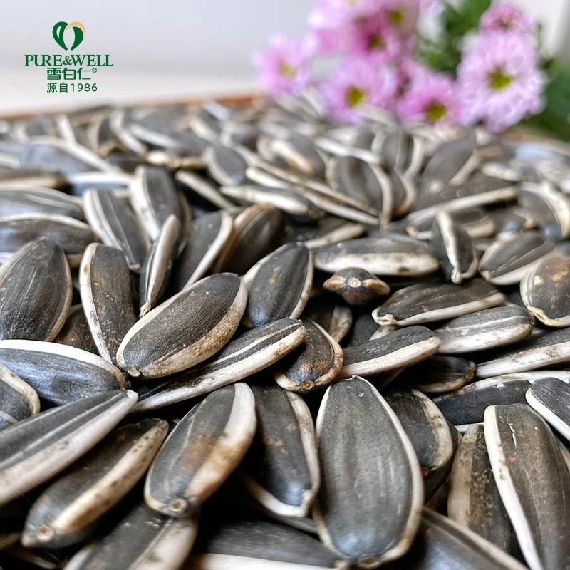 Top quality sunflower seeds 363 hot selling new arrival sunflower seeds kernels