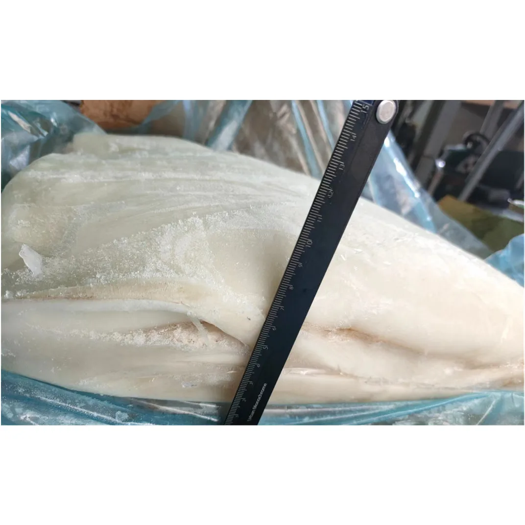 new process hot sale frozen giant squid fillet