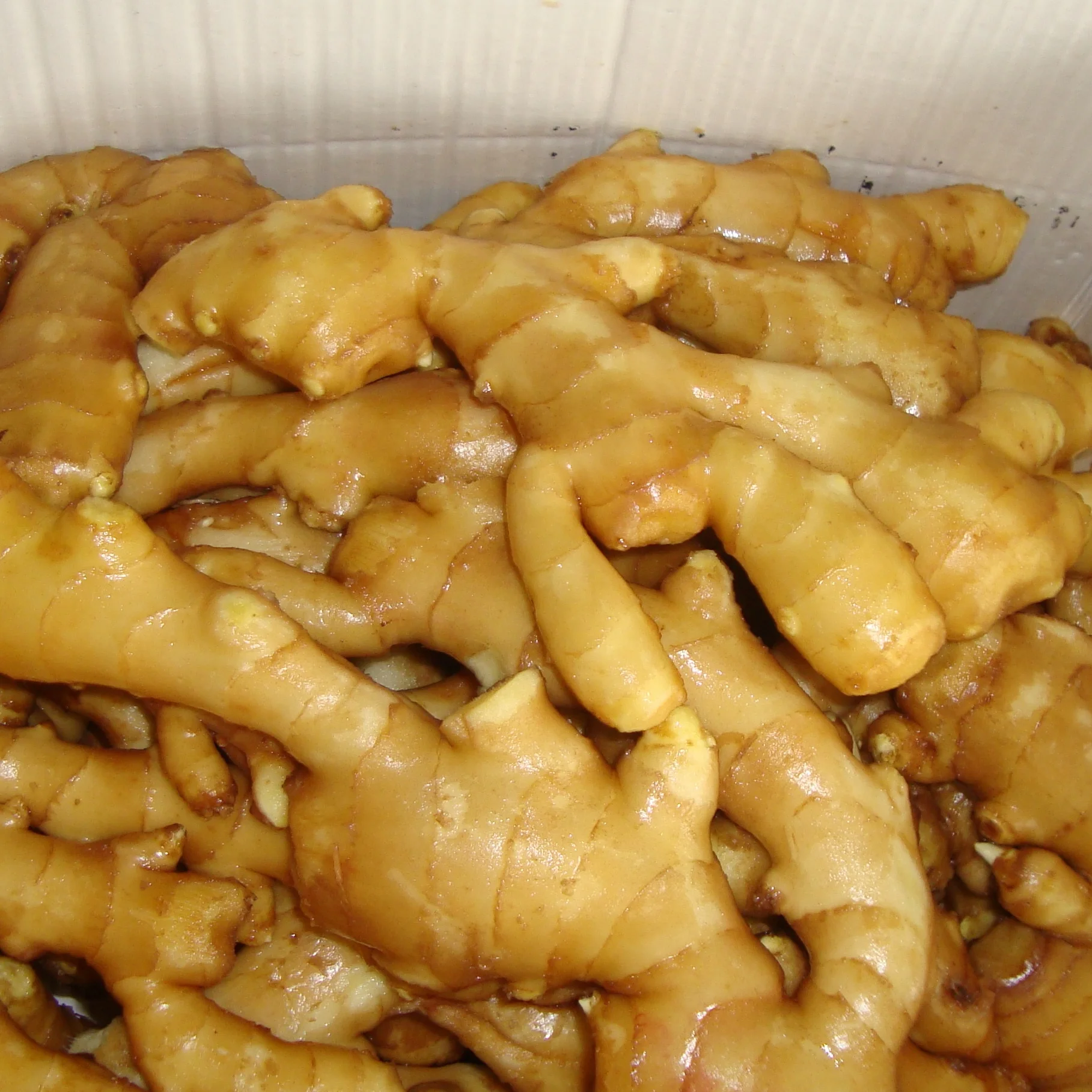 
Hot Sale 2020 China/Chinese New Crop Fresh Ginger in Good Taste 