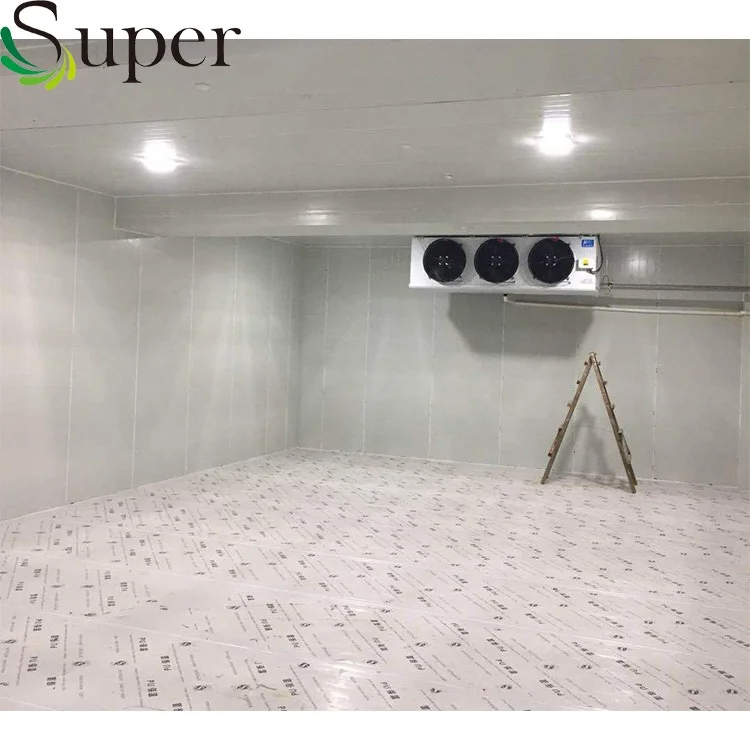 
Small Blast Freezer Cold Room / Cold Room Freezer / Air Chicken Blast Freezer 