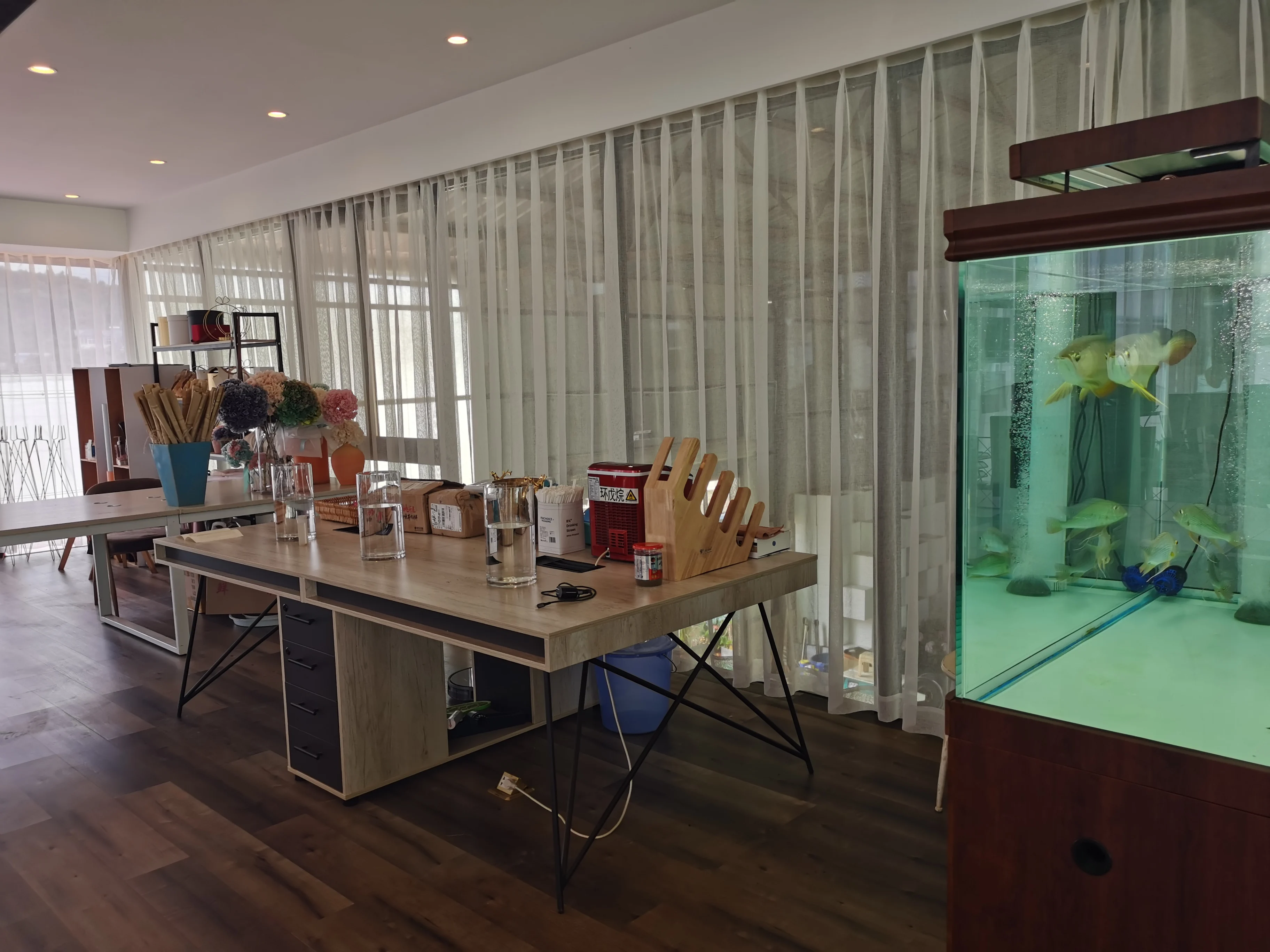 
real fresh flower high quality fresh cutting flowers Brushed African chrysanthemum 