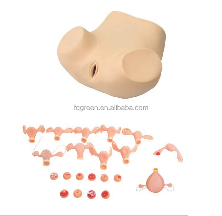 Advanced gynecological examination model,Gynecological disease examination training manikin