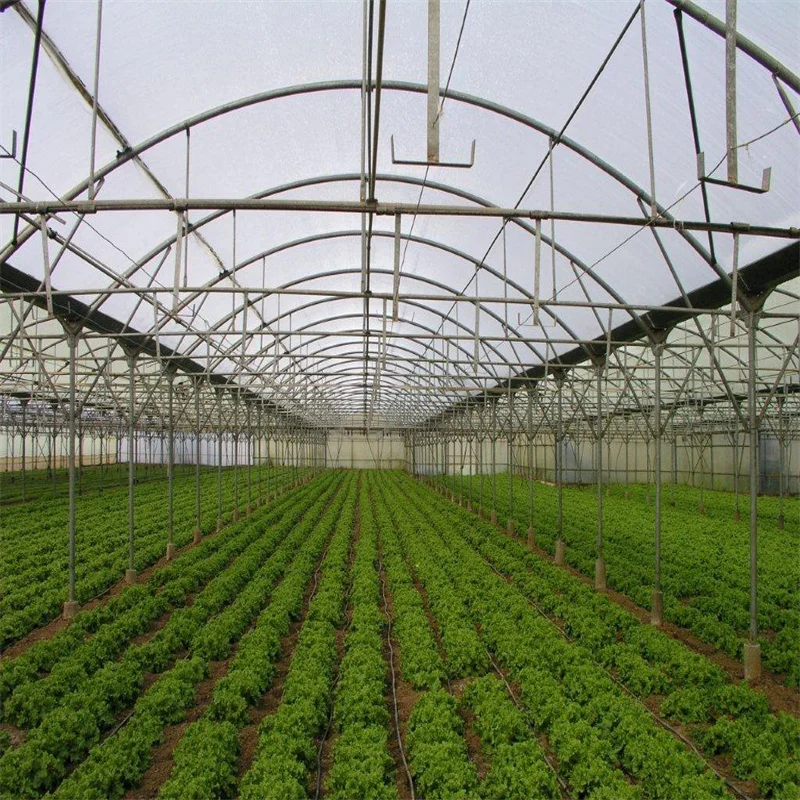 
Mulching Po Greenhouse Breeding of agricultural films 