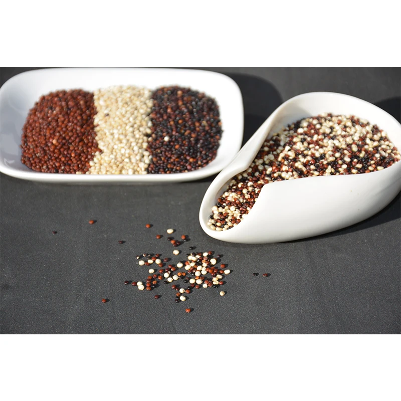 Hot Selling Organic White and Black Quinoa Grain at low Price Bulk Supply New Arrival Best Price Certified White Organic Quinoa