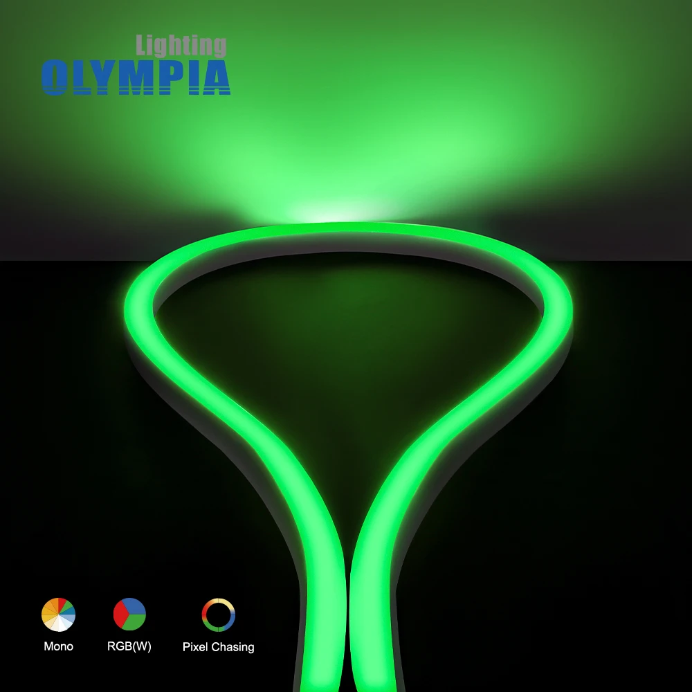 CE RoHS UL rgb neon led silicone 5050 smooth lighting waterproof IP68 24V flex rope led strip light flexible led neon light