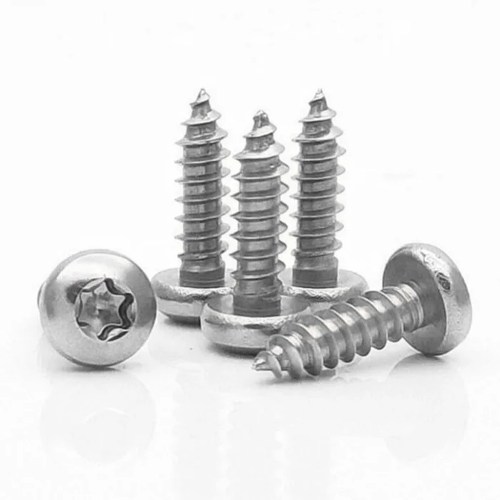 ISO 14585 SS 304 316 Torx Socket Pan Head Tapping Screws