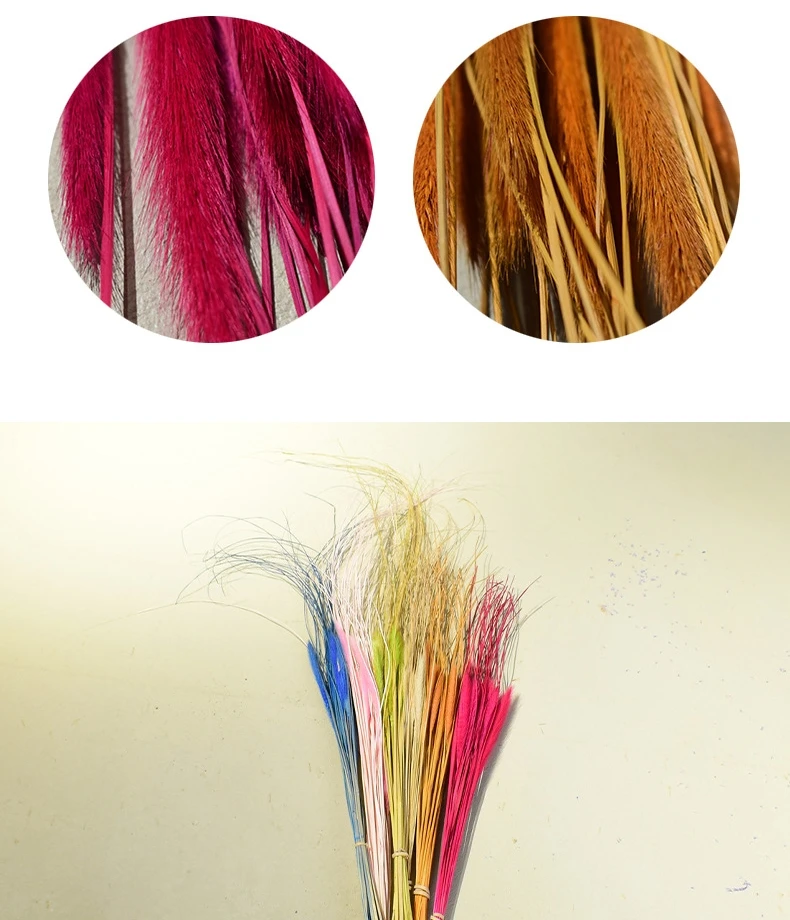 Dried natural Chinese pennisetum grass cat tail wolf tail feather grass, home decoration, floral arrangement