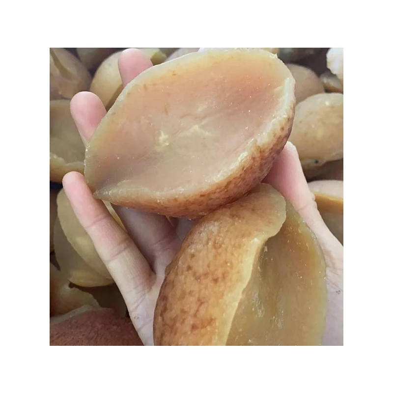 Wholesale Fresh Delicious Seafood Food Beverage Simonfish Amsterdam Healthy Good Price  Frozen Snail Meat