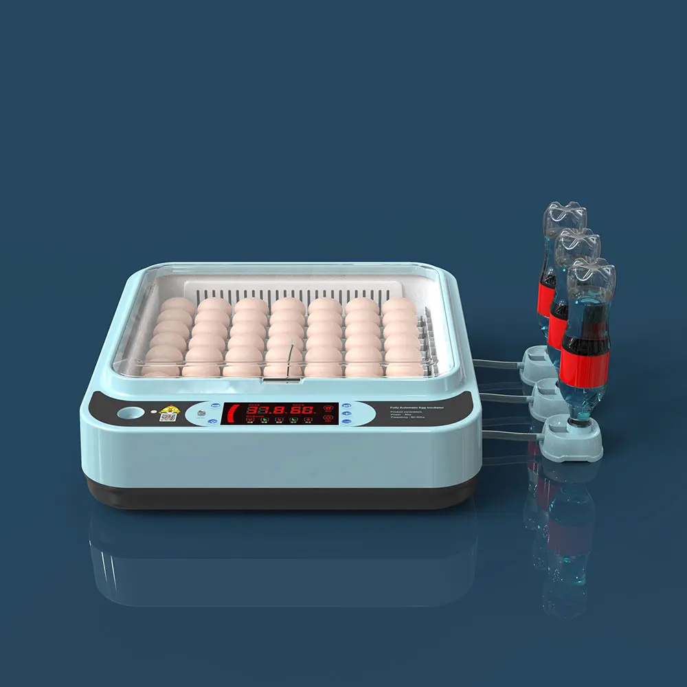 New Product Mini 24 pcs Automatic Egg Incubator for Sale in Africa