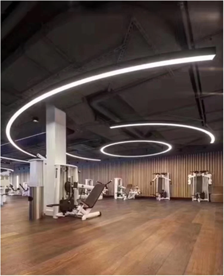 Factory Supply Aluminum round led linear light for Home Office Lighting