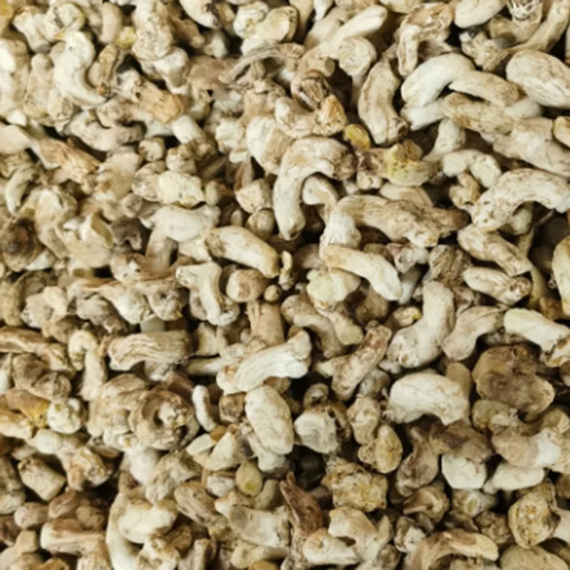 Shiitake roots Wholesale pure dried shiitake stems for sale