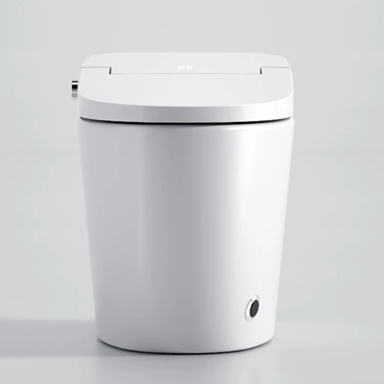 Foot Kick Flushing Bathroom Intelligent Toilet Cold Water Bidet