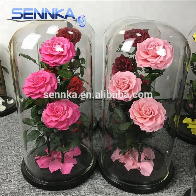 Three Big Preserved Flowers Roses in Glass dome Wedding Decoration
