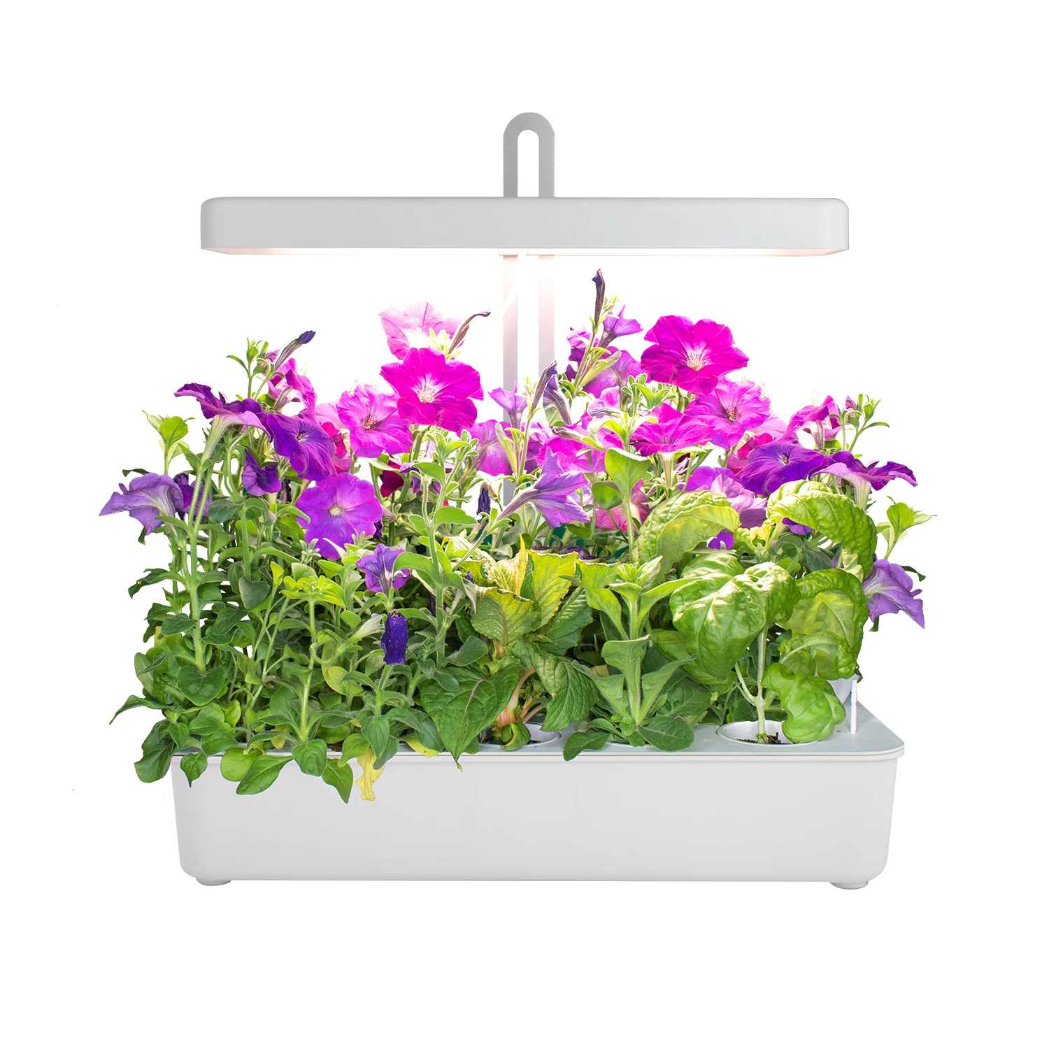 Hydroponic Smart Plant Pot Indoor Herb Garden Kit Led Grow Light Indoor Plant Gardening Indoors with Soil & Hydroponics