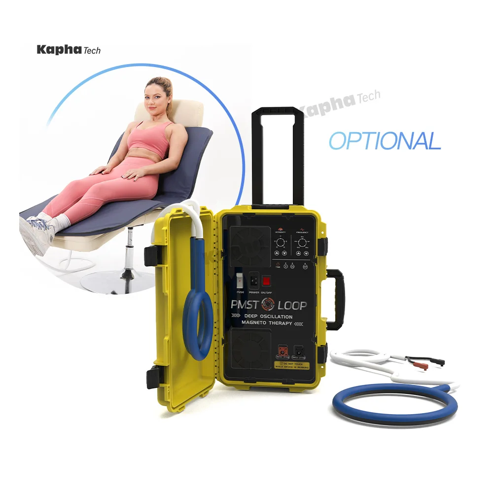 PMST Loop pemf Magnetic Pulsed Field Magnetic Therapy Human Pain Relief