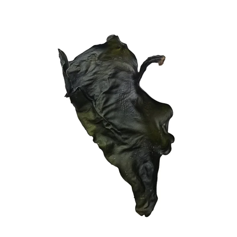 2022 hot sell fresh wakame dried wakame stem roasted wakame