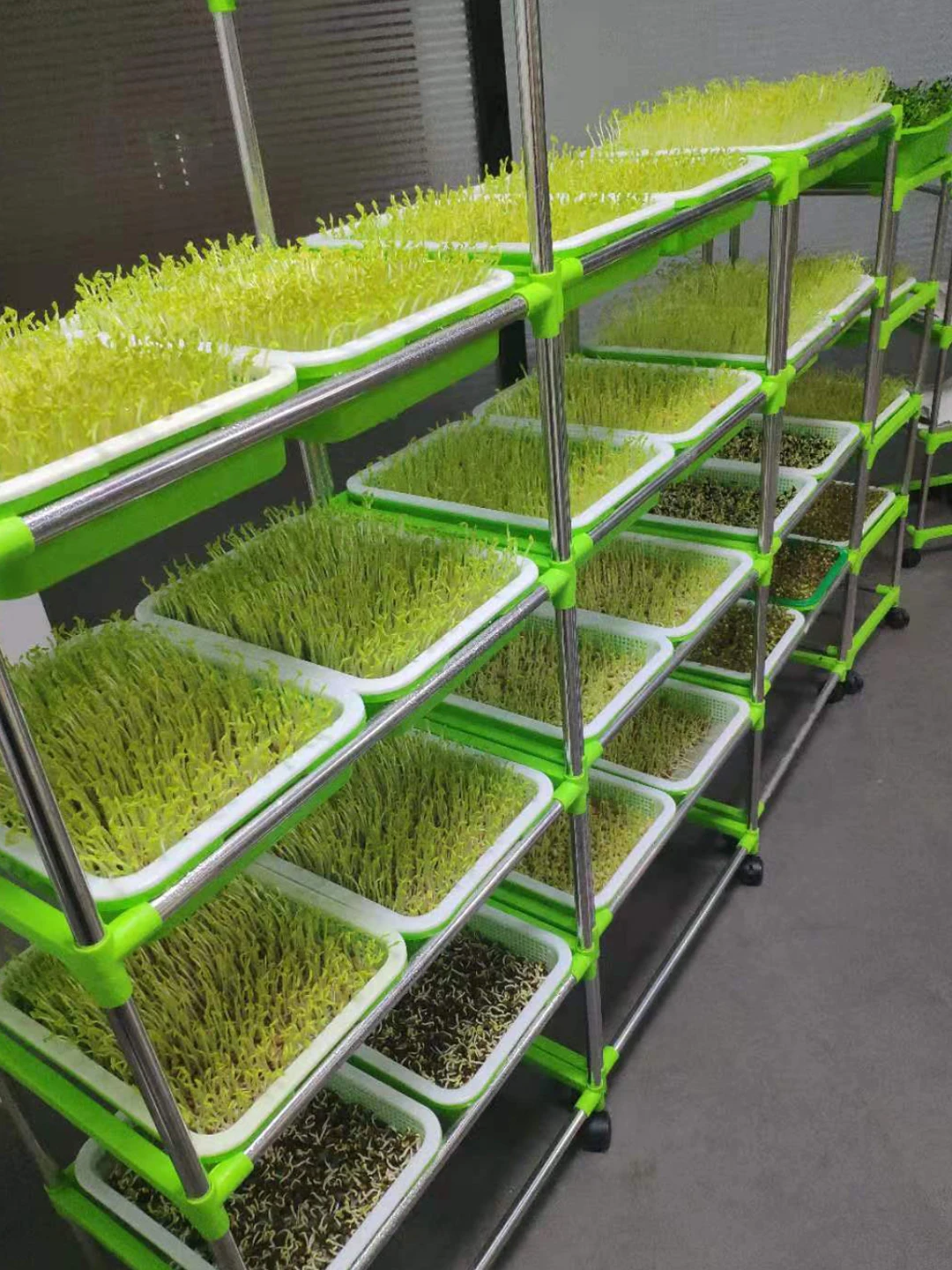 High Quality Movable Rolling Plant Seed Plastic Growing Garden Indoor Seedling Growing Tray Shelf For Home