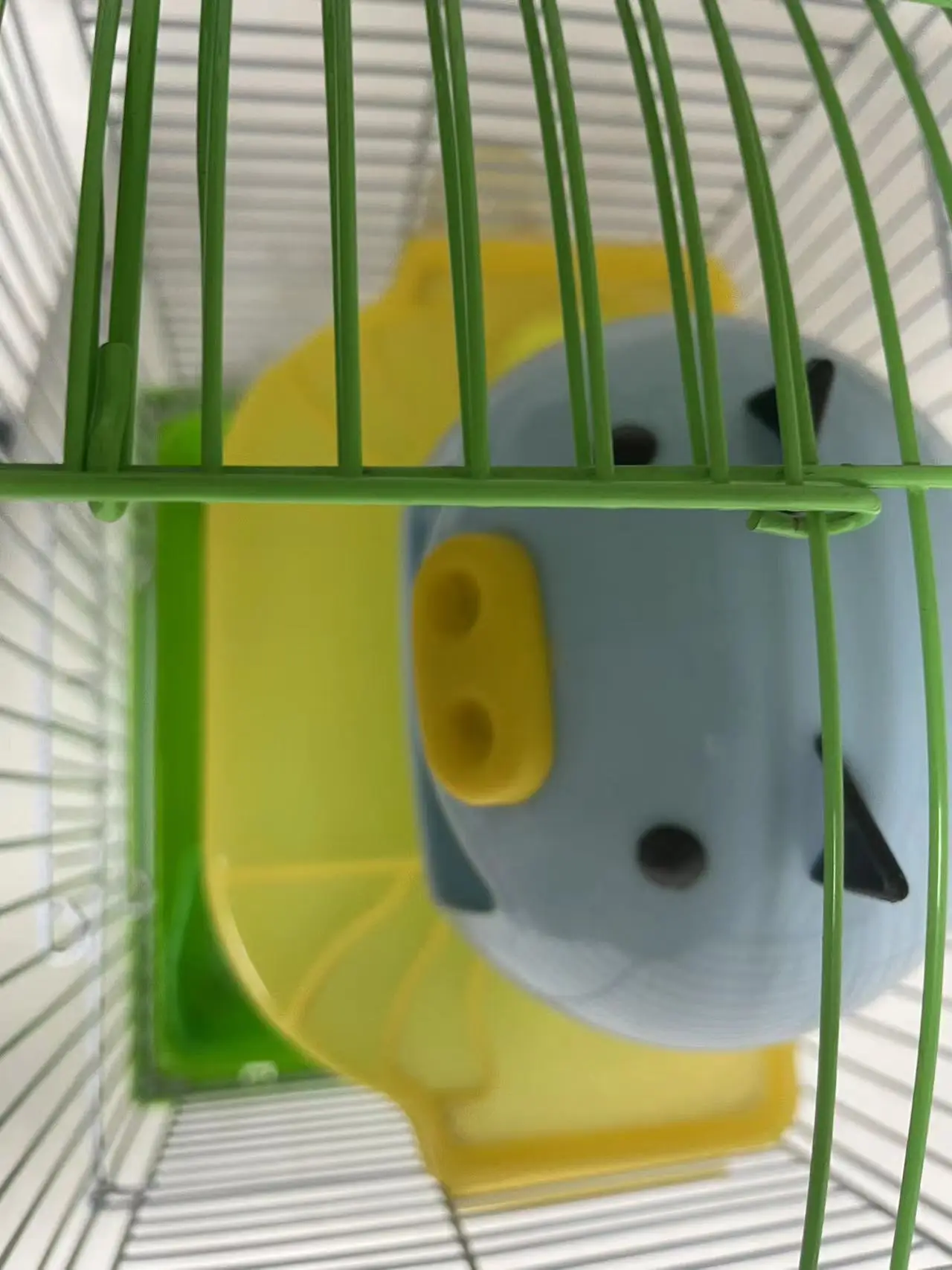 HC-M002                   2023 cost-effective pet hamster cage Hamster cage Cages hamster