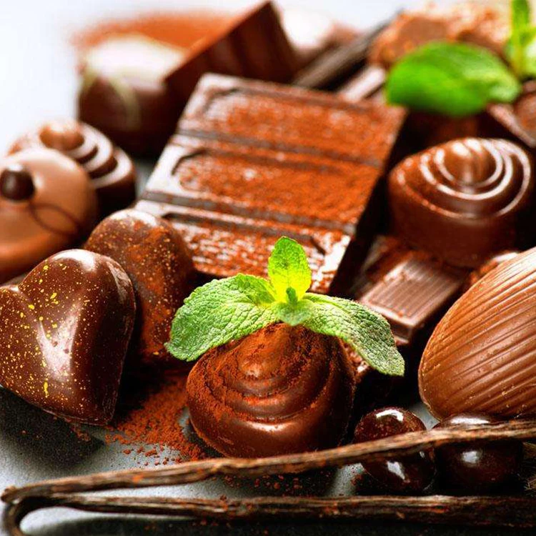 Full Automatic High Efficiency One Shot Chocolate Depositing Line Chocolate Making Machine for Ball Chocolate