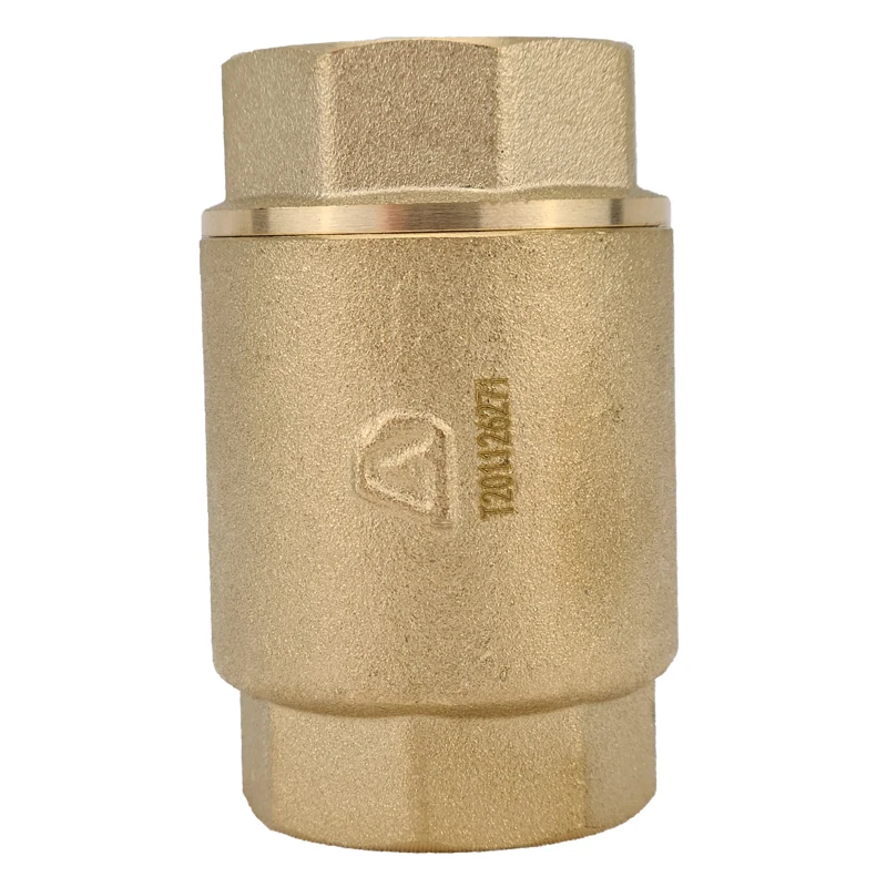 H01 Brass Vertical Check Valve Spring Swing Flap Check Valve Thread Connection
