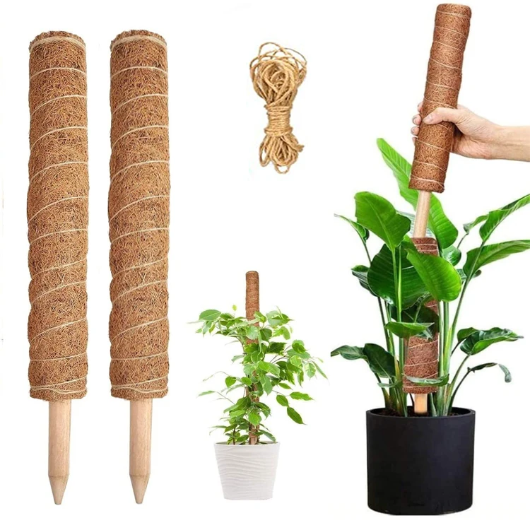 Cheap Good Stick Pole Set 60Cm Ties Moss Coco Pole for Garden