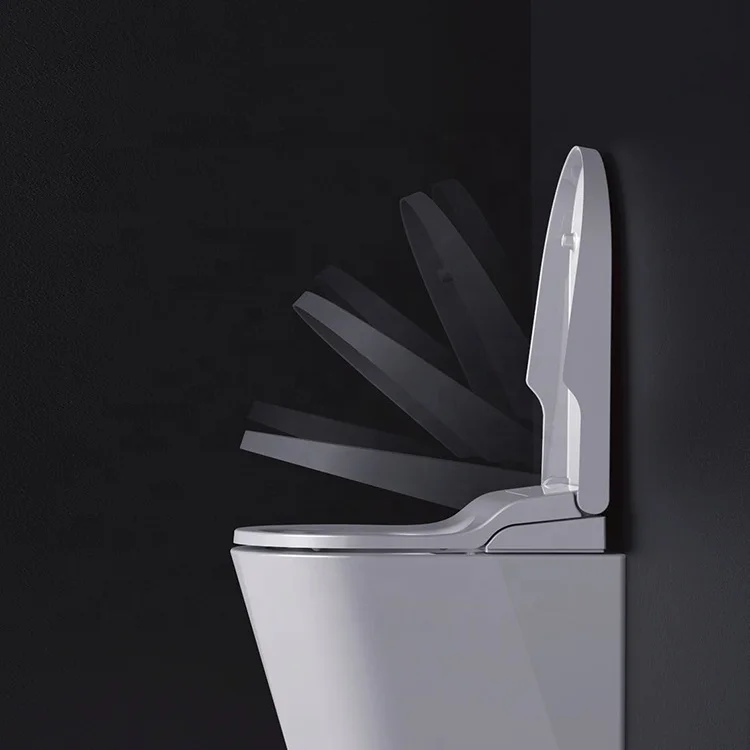 Affordable intelligent bidet seat 220v electronic water washing bidet shower toilet seat