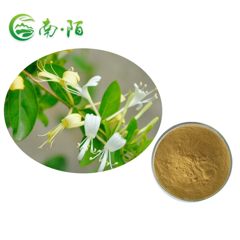 Best Quality honeysuckle flower extract chlorogenic acid lonicerae japonicae extract powder