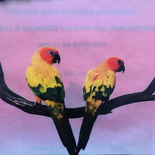 Тайский белый Полипропиленовый плетеный Пластиковый пустой пакет для упаковки ламинированного риса, 20 кг, 50 кг