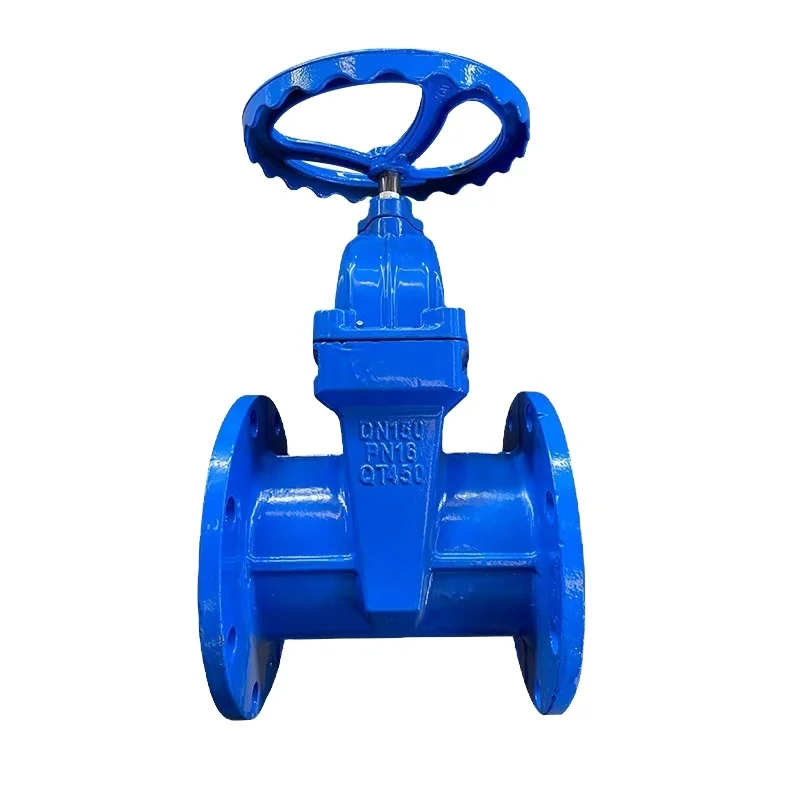 China Factory Customized Wholesale DN50-DN600 Resilient Seated Flange Type Gate Valve