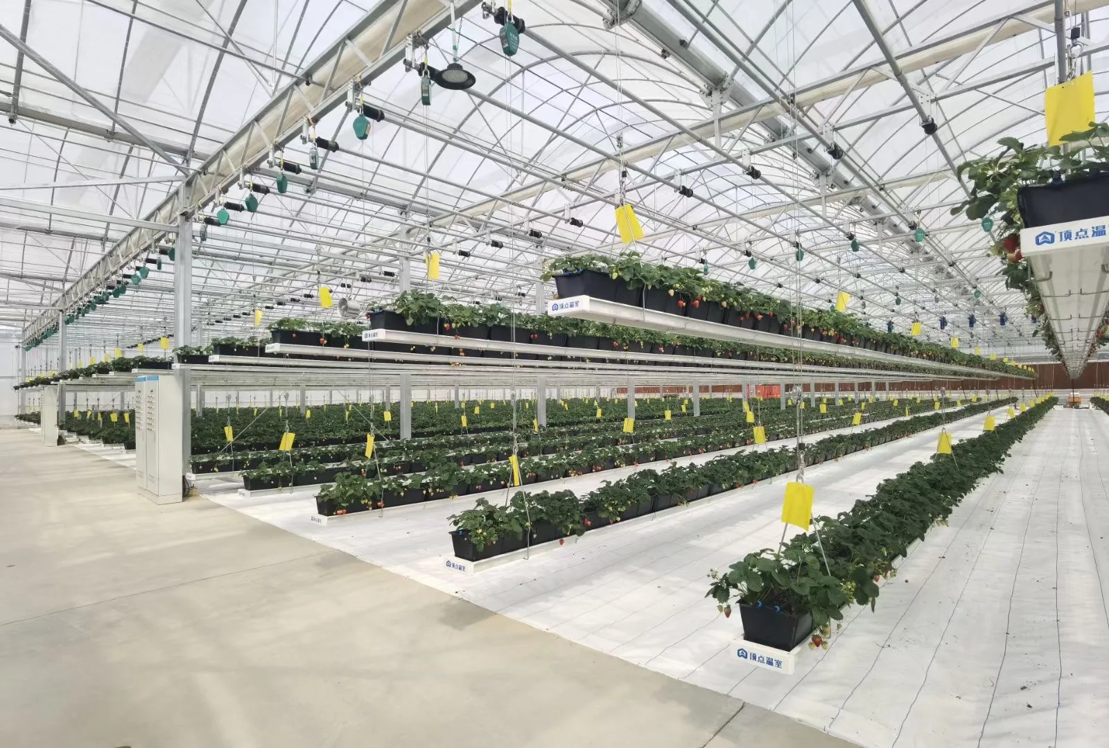 Greenhouse agricultural nft gully hydroponics growing system indoor farming for hydro-farm