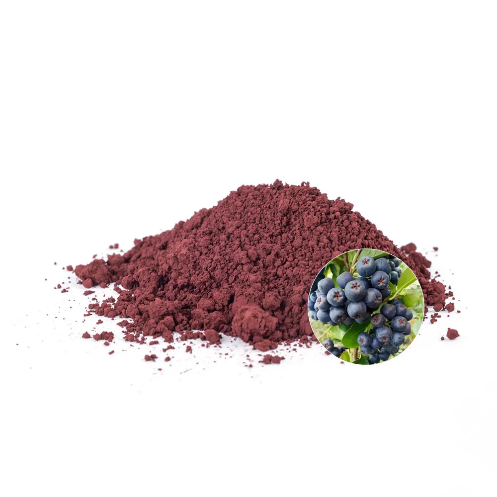 Organic 100% Aronia Melanocarpa Extract Protect Vision Herbal Extract Black Chokeberry Extract