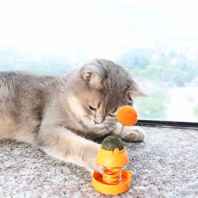 Catnip Ball Clean Mouth Fresh Breath Rotating 360 Rotatable Catnip Ball Mint Pet Cat Toys