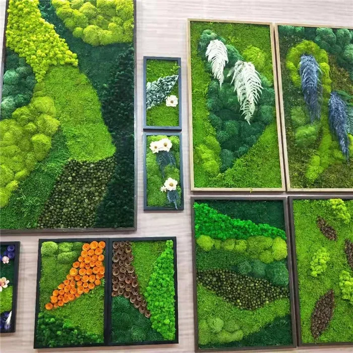 High Quality Real Natural Soft Everlasting Preserved Moss Wall Hanging Framed Green Moss