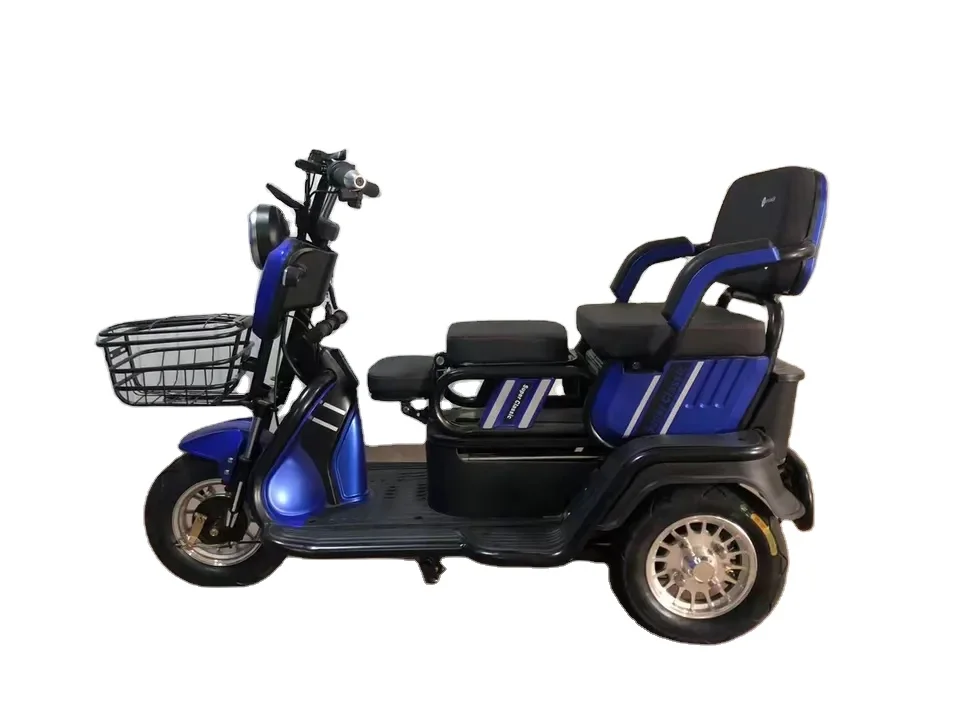 600W/800W Power 3-Wheel Electric Passenger Bicycle 3-Speed Cargo Tricycle with Lead-Acid Battery for Adults