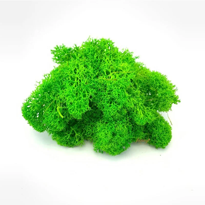 Wholesale Natural Real Green Preserved Reindeer Moss Wall Frame Decoration Stabilized Moss