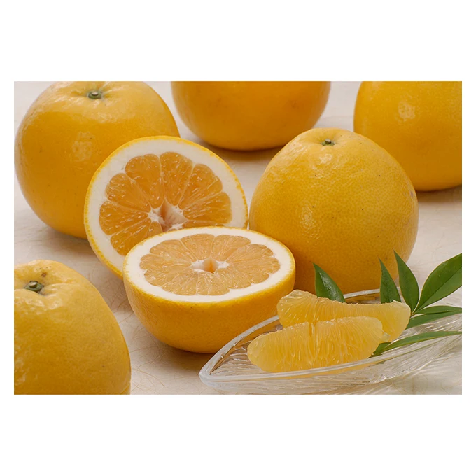 Japanese wholesale mandarin fresh fruit exporters with good quality