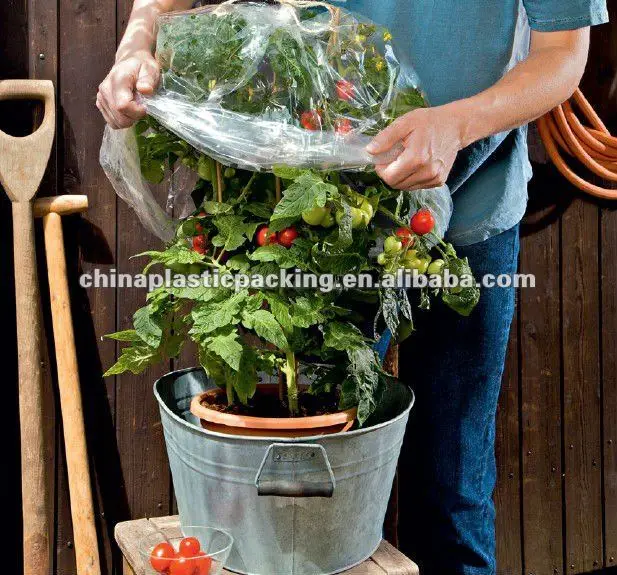 tomato tube cover /frost protection bag/garden used cover