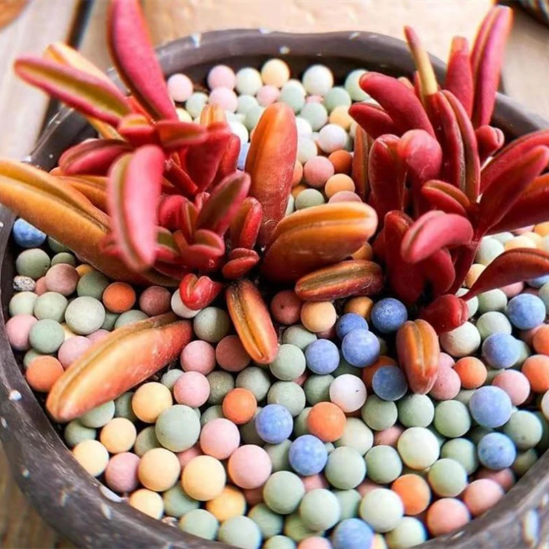 Red Multifunctional Maifan Ceramsite Clay Ball For Garden Planting