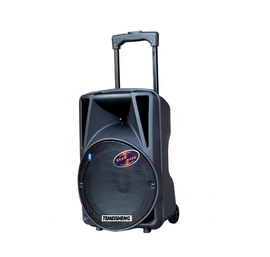 2024 hot selling temeisheng wireless PA active portable fashion 10 inch portable trolley rechargeable speaker  for karaoke