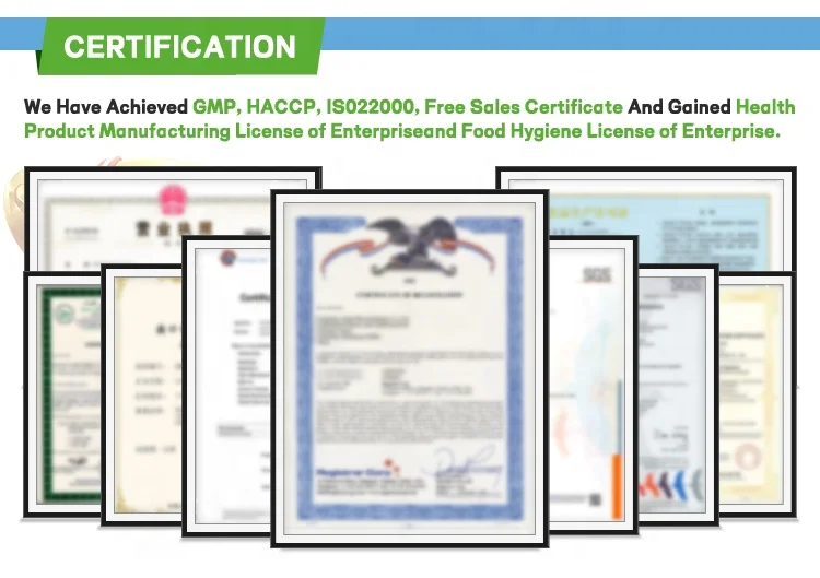 OEM Sugar-Free Ultra Absorption Coenzyme Q10 Gummies with Magnesium, Ashwagandha,Vitamin D3 Ubiquinone Gummy