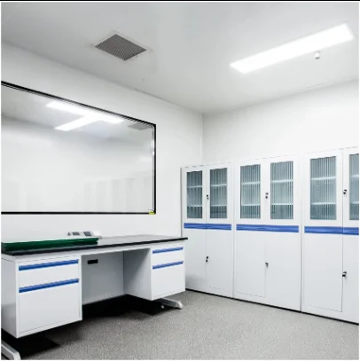 For Free Laboratory Design Lab Furniture Equipment&Lab Workbench With Fume Hood